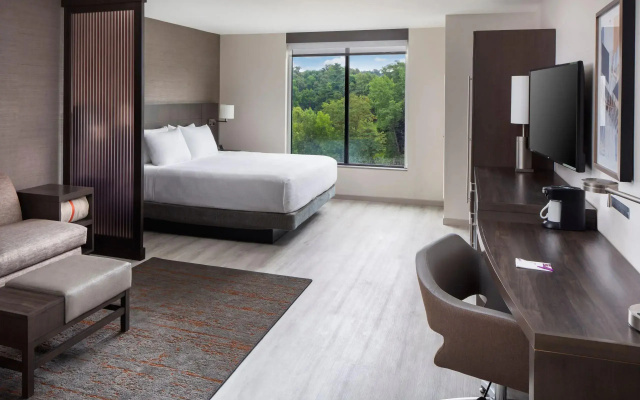 1 Bedroom Suite