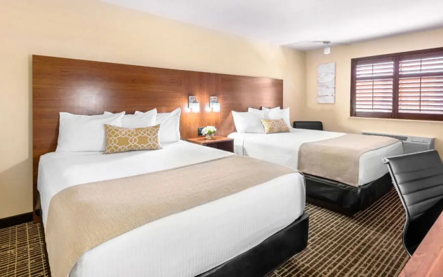 Quadruple room