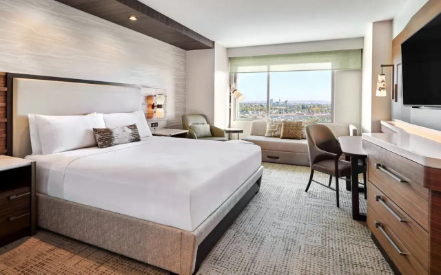 Deluxe Premium room with park view