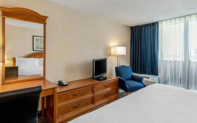 Double room