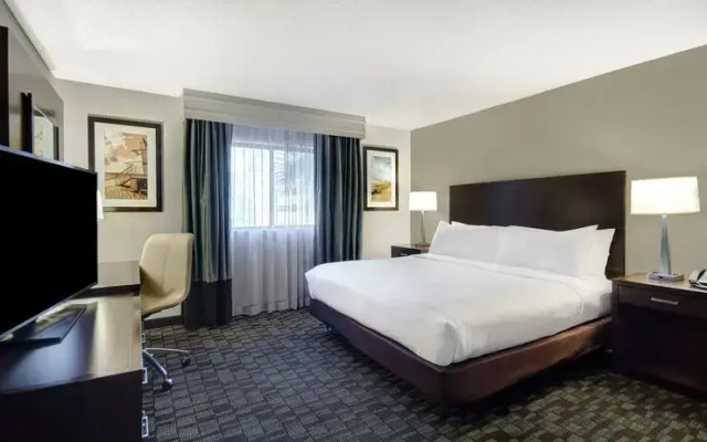 1 Bedroom Mobility Accessible Suite
