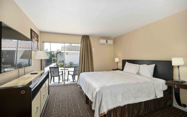 Patio Suite