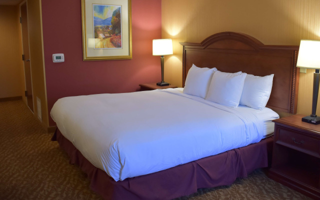 Accessible Double room