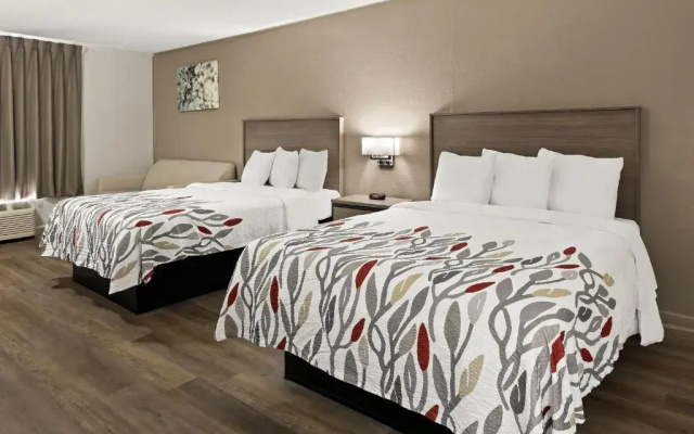 Twin Suite