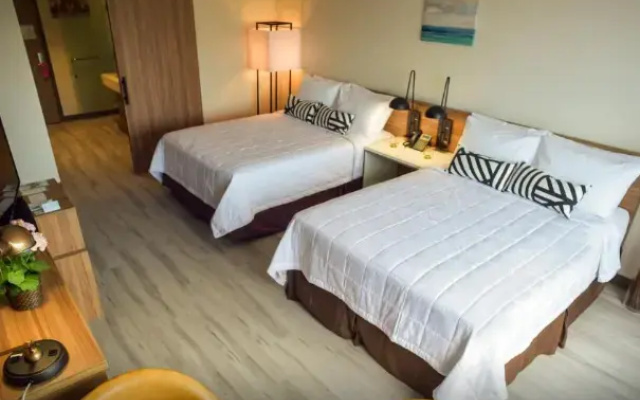 Quadruple room Meadowlands View
