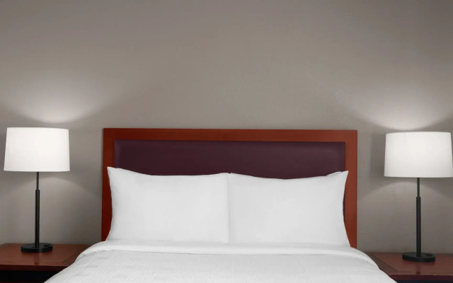 Double Studio Suite