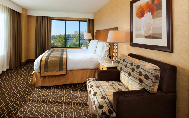 1 Bedroom Suite