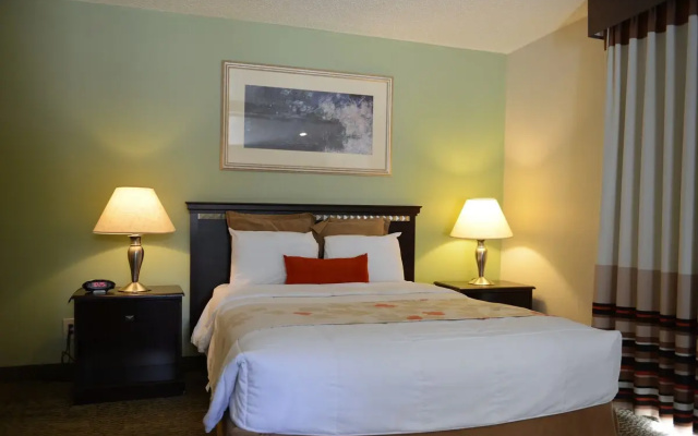 1 Bedroom Quadruple Suite