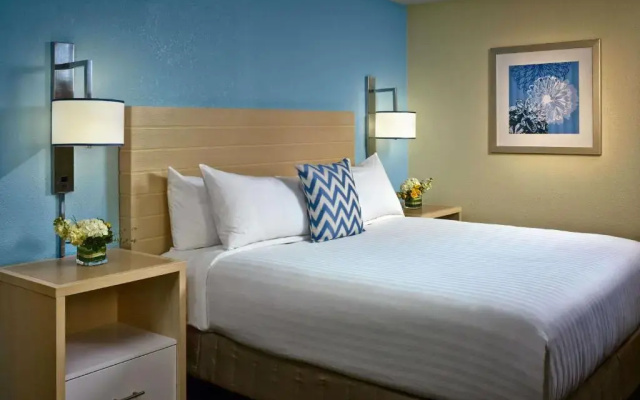 Mobility Accessible Double Studio Suite