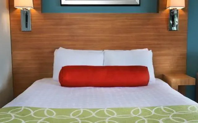 Deluxe Studio with Theme park view