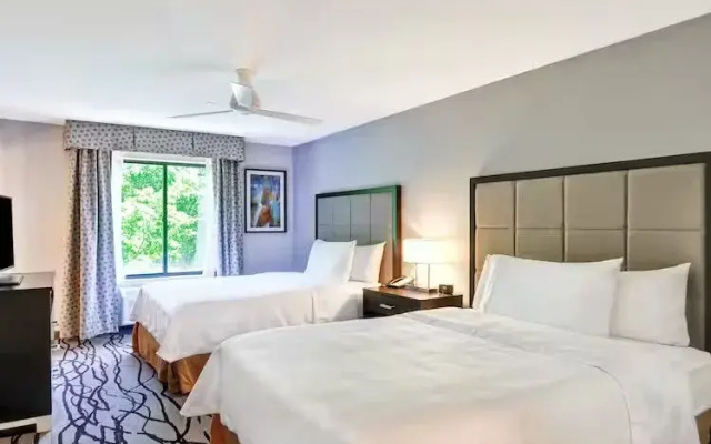 Spacious Studio Suite