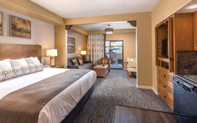 Accessible Double Studio Suite