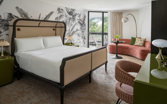 Deluxe Accessible Double room Resort View