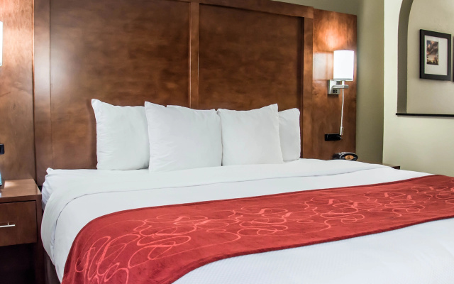1 Bedroom Accessible Double Suite