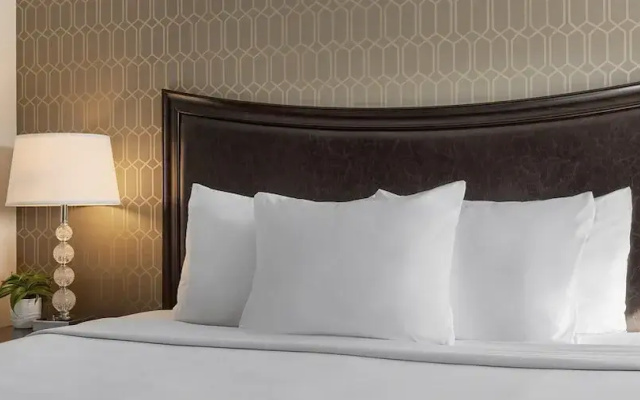 1 Bedroom Suite