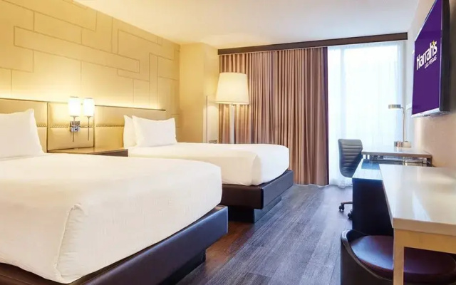 Deluxe PetStay Mountain Tower Twin room