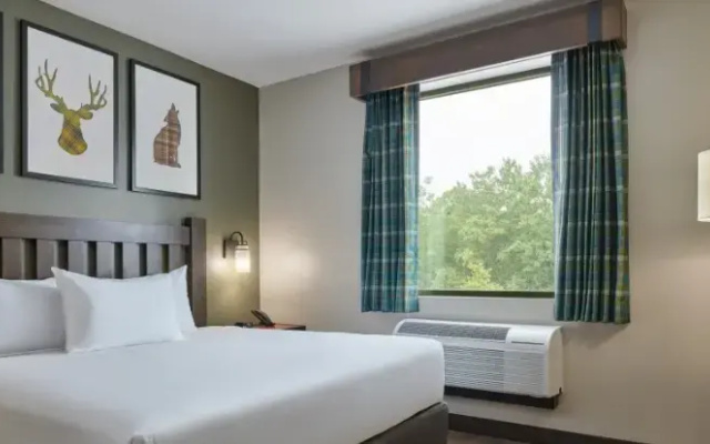 Grizzly Bear Mountain Tower Suite