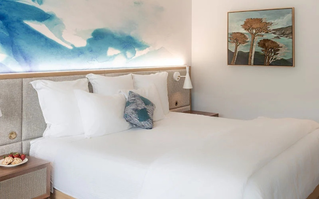 Portola Accessible room