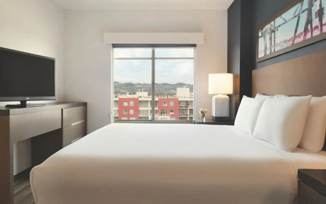 1 Bedroom Suite