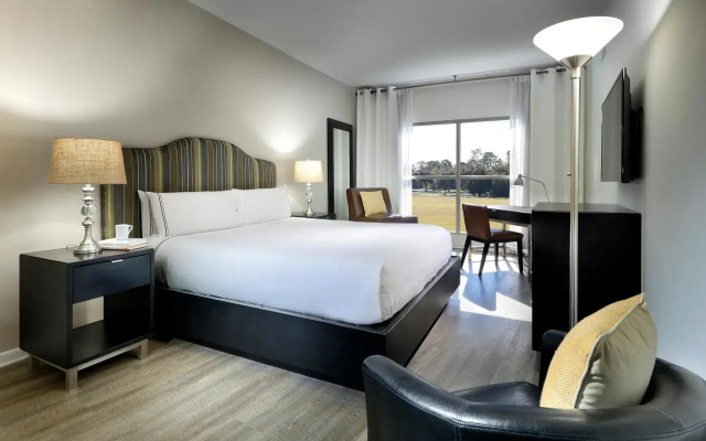 1 Bedroom Suite