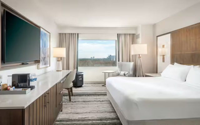 Pure Wellness Double room