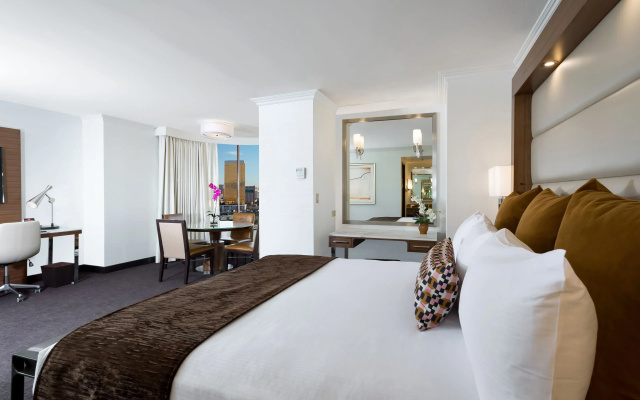 Double Studio Suite