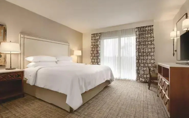 1 Bedroom Deluxe Suite