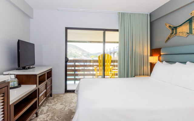 Signature Double room with pool view