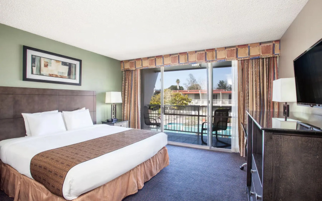 1 Bedroom Suite