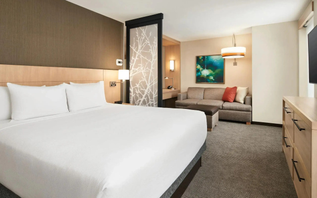 1 Bedroom Suite