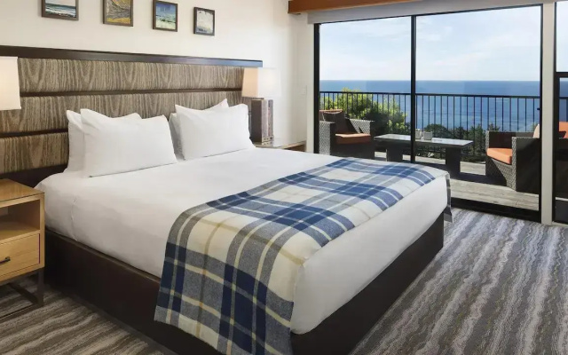 Point Lobos Double Suite
