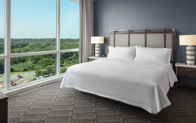 Hearing Accessible Double Suite with Manhattan view