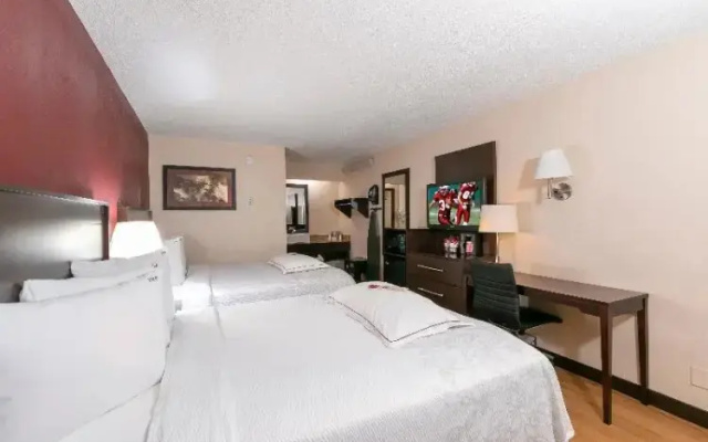 Premium Quadruple room