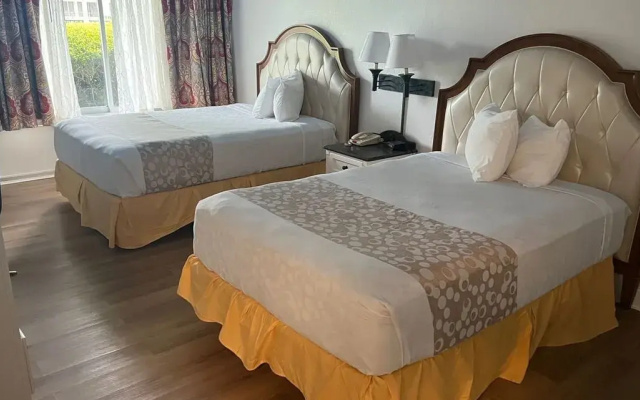 2 Rooms Suite