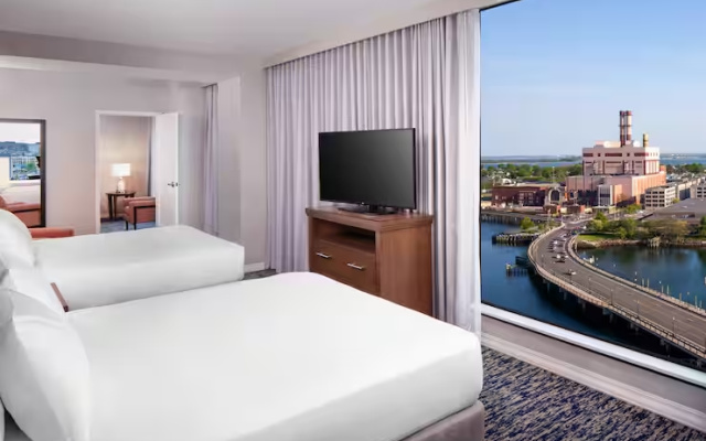 1 Bedroom Quadruple Suite with water view