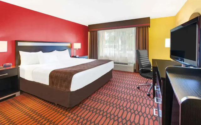 Mobility Access Double Suite