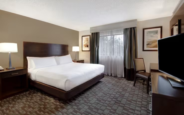 Two-room Conference Atrium Building Double Suite