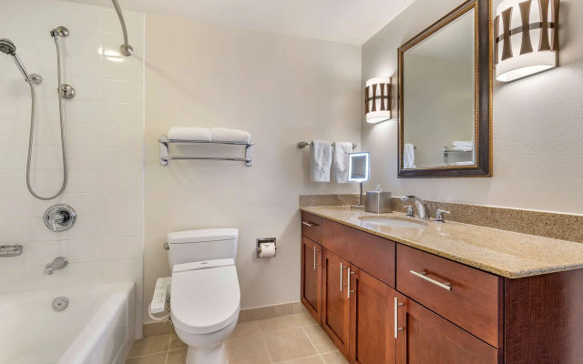 1 Bedroom With sofa bed Standard View Double Lagoon Suite