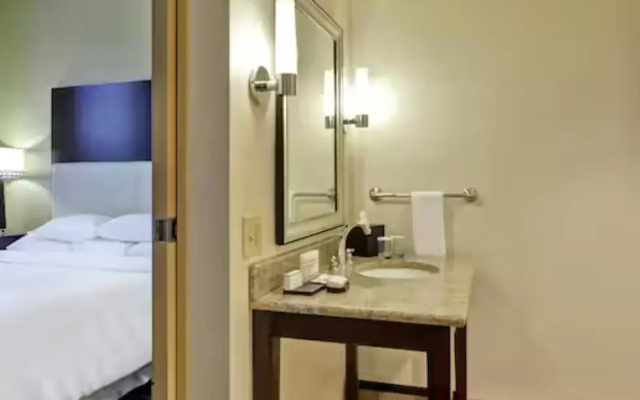 1 Bedroom Mobility Accessible with Tub Double Suite