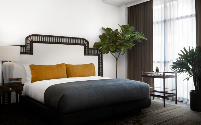 Park ADA Double Suite