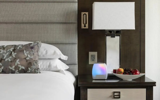 Pure Wellness Double Guestroom