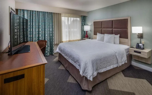 1 Bedroom Suite