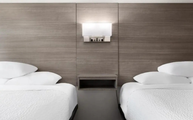 Pet Friendly room