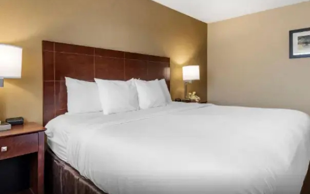 1 Bedroom Double Suite with forest view