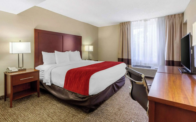 1 Bedroom Suite