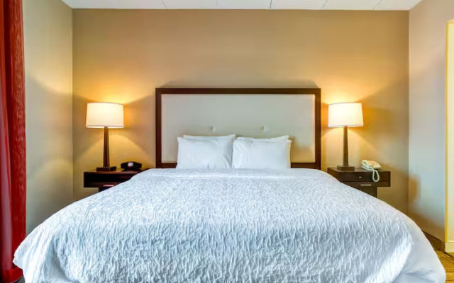 Double Studio Suite