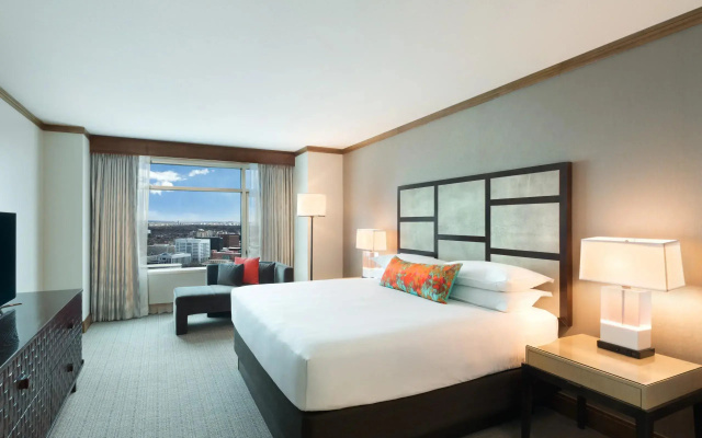 Bristlecone Suite