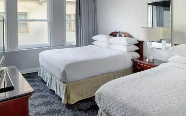 High Floor Twin Suite
