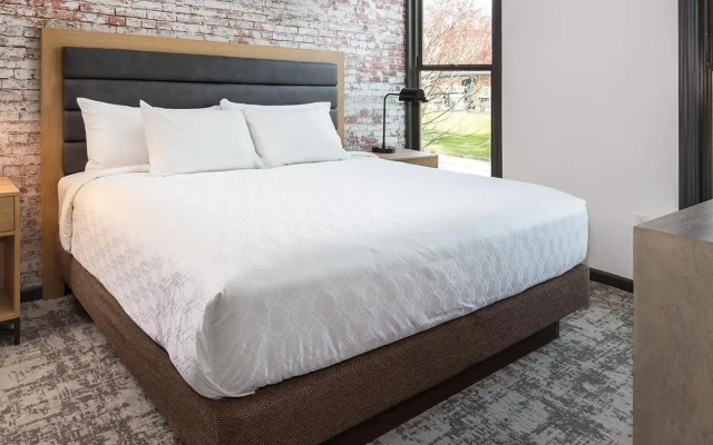 1 Bedroom Penthouse Suite