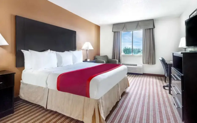 1 Bedroom Suite
